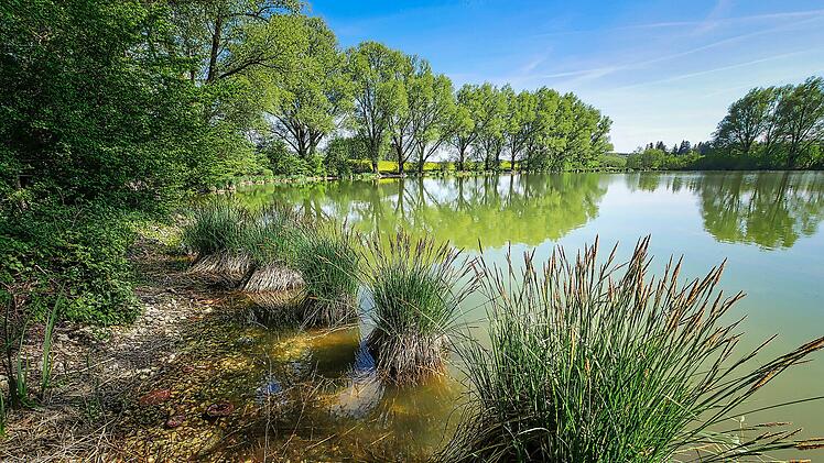 Weiher