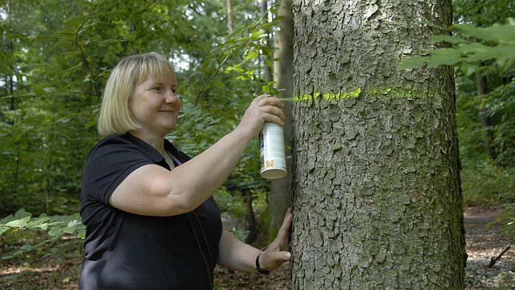 Carmen Hombach markiert die Bäume, die aus den Beständen entfernt werden müssen, damit sich der Wald gut entwickelt. Foto: Dagmar Besand