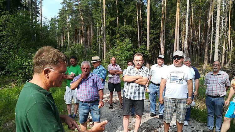 Förster Erich Daum erläutert den Gästen von der Forstbetriebsgemeinschaft Westmittelfranken gelungene Waldumbaumaßnahmen im Staatswald. Foto:  Mathias Erlwein