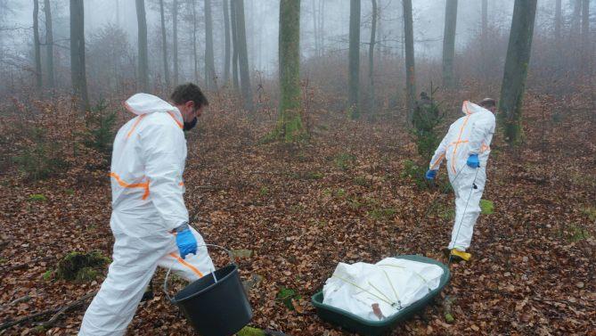 Übung, um für Fälle von Afrikanischer Schweinepest (ASP) gerüstet zu  sein. Foto: Marion Eckert