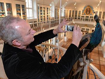 Noch kann Museumsleiter Matthias Mäuser mit dem Handy nur ein Foto vom Pfau machen. Doch mit der neuen App könnte das Gerät eine Erklärung zu dem Tier anzeigen, die auf dem Display erscheint. Foto: Ronald Rinklef