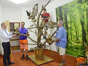 Im grünen Klassenzimmer in der Grundschule Stockheim können die Kinder hautnah die heimische Tier- und Pflanzenwelt erleben. Von links: Bürgermeister Rainer Detsch, Michael Weißerth, Tobias Fiedler und der Spender der gesammelten Tierpräparate, Edgar Daum