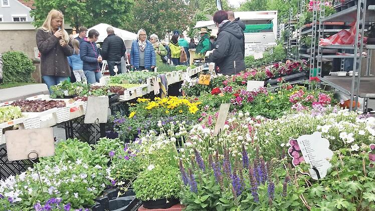 Blumen, Pflanzen und Kr&auml;uter wurden angeboten. Foto: pr