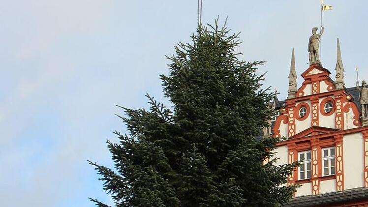 Der Baum schwebt auf seinen Platz.Oliver Schmidt