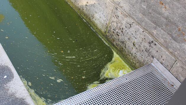 Von Stadtrat Uwe Held bem&auml;ngelt: das schnelle Umschlagen des Wassers im Floriansbrunnen.  Foto: Markus H&auml;ggberg