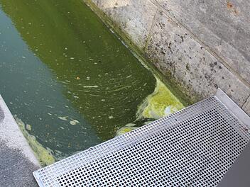 Von Stadtrat Uwe Held bemängelt: das schnelle Umschlagen des Wassers im Floriansbrunnen.  Foto: Markus Häggberg