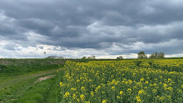 Wechselhaftes Wetter trotz bl&uuml;hender Landschaft in Franken