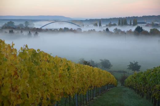 Sp&auml;therbst Teil 2