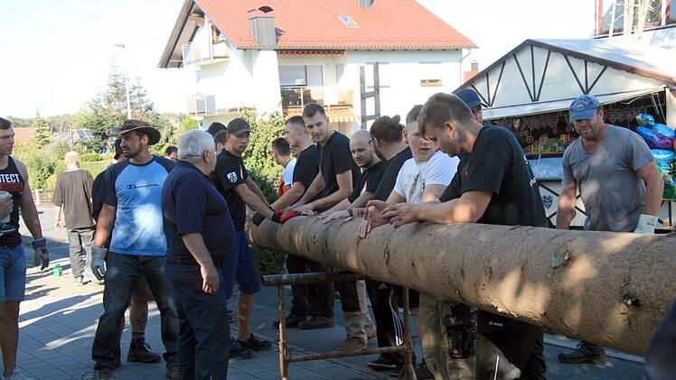 Unter dem Kommando von Fritz Bartel, links, wurden schon mehr als 30 Bäume aufgestellt.