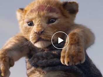 Der König der Löwen kommt als Remake im Sommer 2019 ins Kino. Foto: Disney