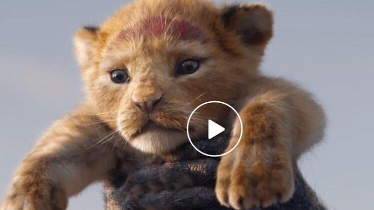 Der König der Löwen kommt als Remake im Sommer 2019 ins Kino. Foto: Disney