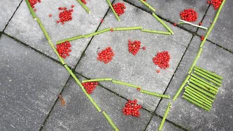 Kreativität mit Vogelbeeren - der stilisierte Weihnachtsbaum