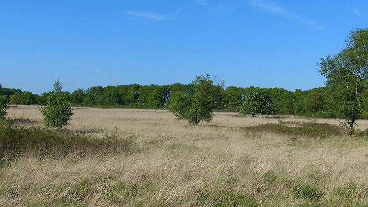 Herbe Schönheit. Die Heidelandschaft verströmt einen ganz eigenen Reiz.
