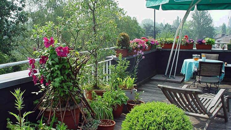 Regelmäßiges Gießen ist auf der Dachterrasse Pflicht Foto: BGL