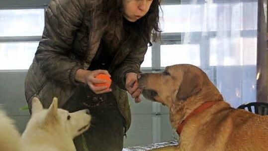 Doris Schmidt pustet Sam auf die Nase, damit er den Ball wieder loslässt.  Fotos: Diana Fuchs