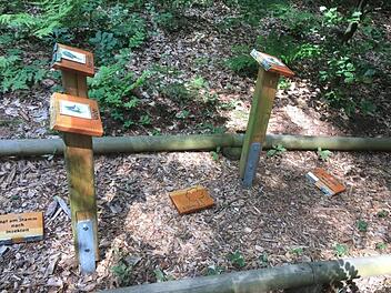 25 solcher Informationstafeln haben Unbekannte vermutlich in der Nacht zum Samstag am Naturlehrpfad abgerissen.Foto: Carmen Hombach