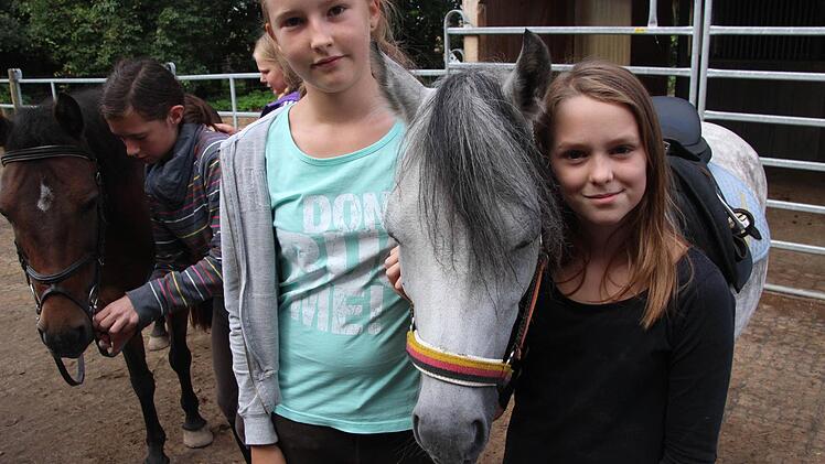 Luisa und Emilia haben Hermine fertig gemacht zum Ausritt.