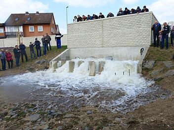 Im Ernstfall könnte die Wirkung der Pumpen nicht beobachtet werden; dann würde nämlich der Wasserspiegel der Regnitz mindestens bis zur Oberkante des Schutzdeiches reichen. Foto: Stefan Endres