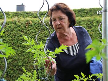 Susi Vorndran schaut nach den Tomatenpflanzen in ihrem Hochbeet. Foto: Benedikt Borst