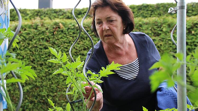 Susi Vorndran schaut nach den Tomatenpflanzen in ihrem Hochbeet. Foto: Benedikt Borst