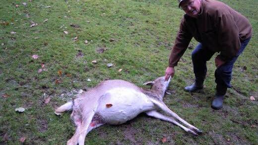 Erwin Belz mit einem gerissenen Tier. Foto: Julia Raab