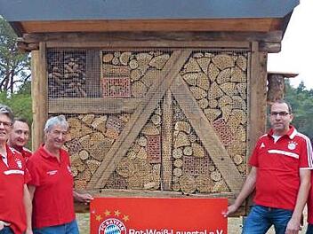 Der Bayern-Fan-Club Rot-Weiß Lauertal hat ein fast drei Meter hohes Insektenhotel gebaut.  Foto: M. Mellenthin
