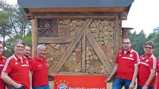 Der Bayern-Fan-Club Rot-Weiß Lauertal hat ein fast drei Meter hohes Insektenhotel gebaut.  Foto: M. Mellenthin