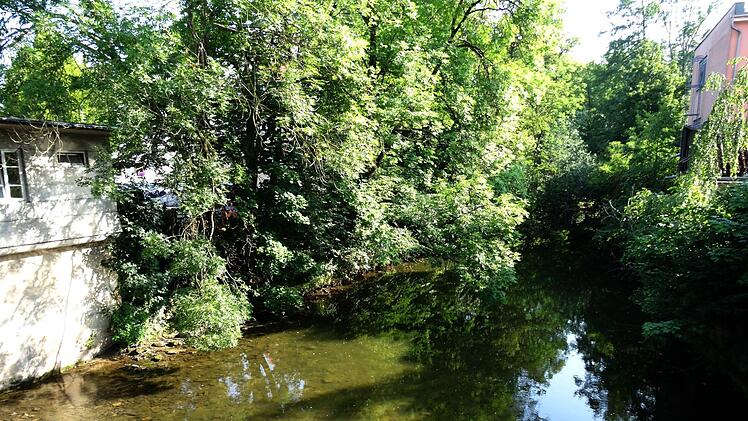 Der Blick von der Mohrenbrücke über die Itz
