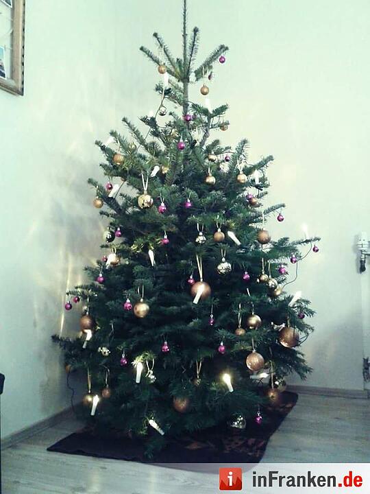 Weihnachten in Franken: Die Christbäume unserer Leser
