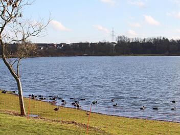 Der Gänsezaun am Naherholungsgebiet Oberauhof scheint zu funktionieren. Er hält die Enten von den Wiesen fern. Trotzdem fordert Architekt Hermann Hugel, der die Aufstellung des Zaunes angeregt hat, jetzt, dass der Zaun abmontiert wird und erst im Frühling wieder aufgestellt wird. Foto: Sonja Adam