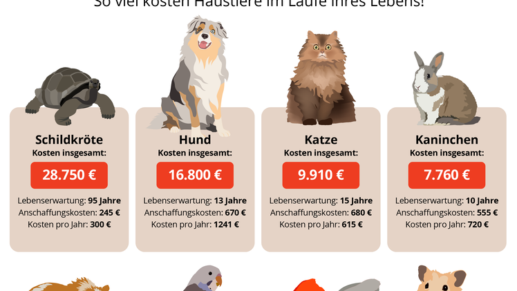 Haustiere Kosten im Vergleich