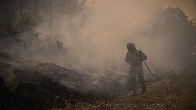 Waldbrände in Portugal