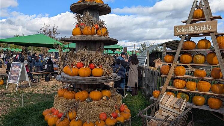 Halloween-Event in Erlangen: Turm aus Schnitz-Kürbissen