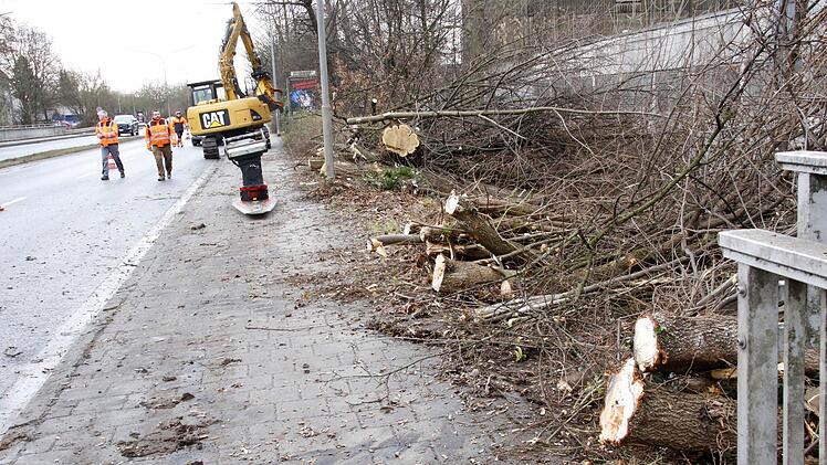 Foto: Josef Hofbauer