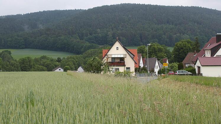 Hier, am nordwestlichen Ortsrand von Höferänger, wächst jetzt noch friedlich Getreide. Aber auf dem Acker soll ein Baugebiet entstehen - und dagegen formiert sich Widerstand der Anwohner. Foto: Stephan Tiroch