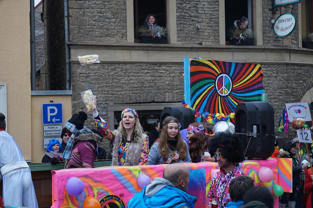Landkreisfaschingszug 2015