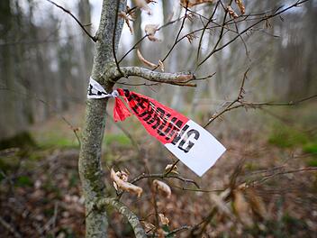 Baum umgest&uuml;rzt - Drei Tote bei Flensburg