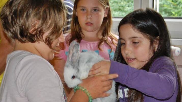 Viel geboten war beim Ferienprogramm der Kleintierzüchter. Foto: Sigismund von Dobschütz