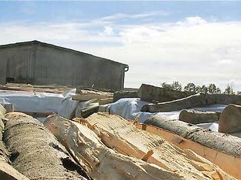 Ein von der Gemeinde  geduldeter Holzlagerplatz am Ortsende von Völkersleier  Foto: Gerd Schaar