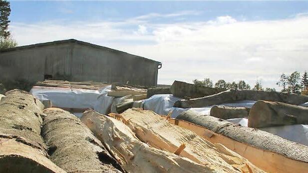 Ein von der Gemeinde  geduldeter Holzlagerplatz am Ortsende von Völkersleier  Foto: Gerd Schaar