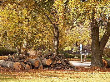 Bad Kissingen: Umfangreiche Verkehrssicherung - Wege und Staatsstra&szlig;e im Kaskadental gesperrt