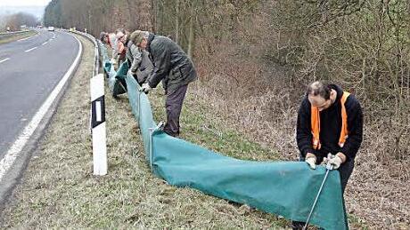 500 Meter Amphibienzaun stellte der Bund Naturschutz zwischen Gem&uuml;nd und Jesserndorf auf. Der neue Zaun, der benutzerfreundlich in die Erde gesteckt wird, ist besonders f&uuml;r die Molche gut. Eine Beugung oben und unten verhindert, dass sie sich selbstst&auml;ndig auf den Weg &uuml;ber die Stra&szlig;e machen. Foto: Johanna Eckert