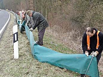 500 Meter Amphibienzaun stellte der Bund Naturschutz zwischen Gemünd und Jesserndorf auf. Der neue Zaun, der benutzerfreundlich in die Erde gesteckt wird, ist besonders für die Molche gut. Eine Beugung oben und unten verhindert, dass sie sich selbstständig auf den Weg über die Straße machen. Foto: Johanna Eckert