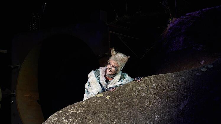 Kerstin Ibald als Grizabella Foto: Marcel Kohnen
