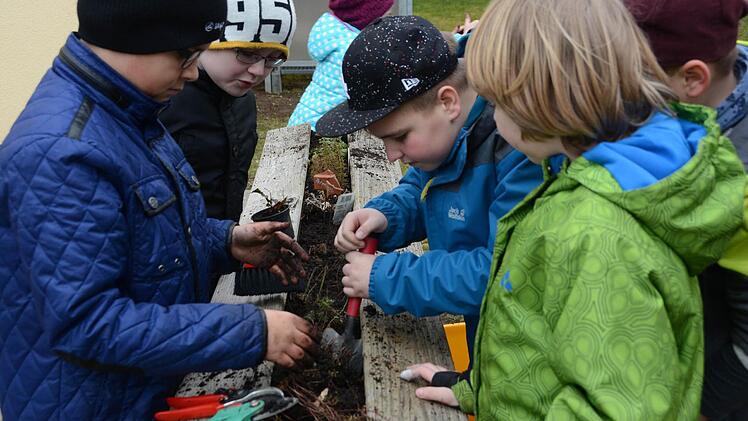 Erster Arbeitseinsatz im Melkendorfer Schulgarten: Die Grundschüler sind mit vollem Einsatz dabei! Foto: Dagmar Besand