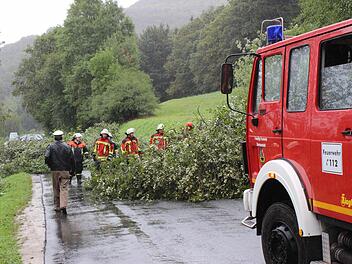 Die Feuerwehrleute machen den umgestürzten Baum zwischen Ebermannstadt und dem Ramsertal klein. Foto: fra-press