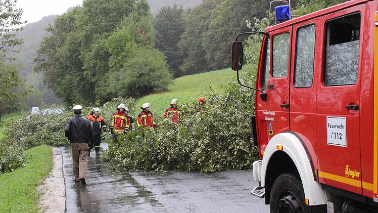 Die Feuerwehrleute machen den umgestürzten Baum zwischen Ebermannstadt und dem Ramsertal klein. Foto: fra-press
