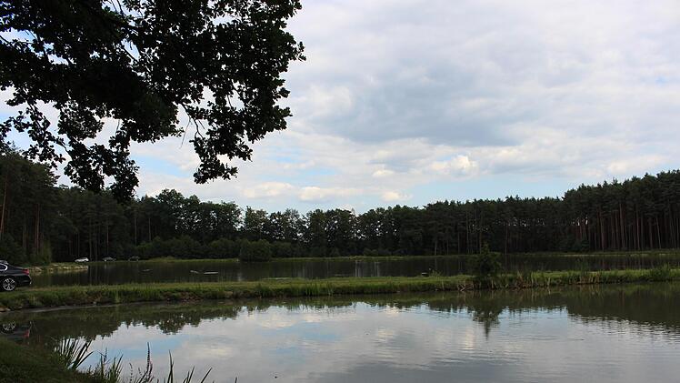 Die "Limbacher Weiher" liegen versteckt im Wald zwischen Zentbechhofen und Aisch.   Foto: Evi Seeger