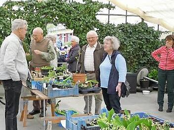 Die Hobbygärtner hatten bei der Pflanzentauschbörse auch immer Zeit, ein Fachgespräch zu führen. Foto: Obst-und Gartenbauverein