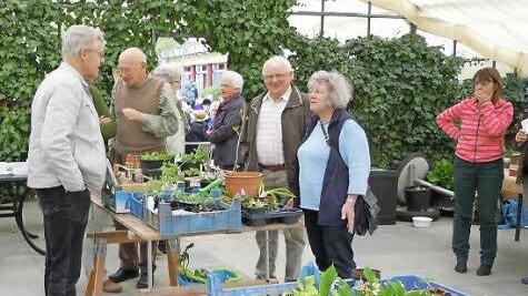 Die Hobbygärtner hatten bei der Pflanzentauschbörse auch immer Zeit, ein Fachgespräch zu führen. Foto: Obst-und Gartenbauverein